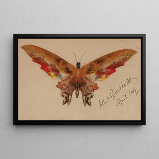 Albert Bierstadt - Butterfly.webp