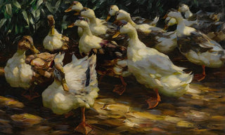 Alexander Koester - Ducks In Sunlight.webp