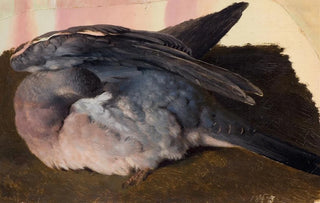 Ferdinand von Wright - Study of the sleeping wood pigeon.webp