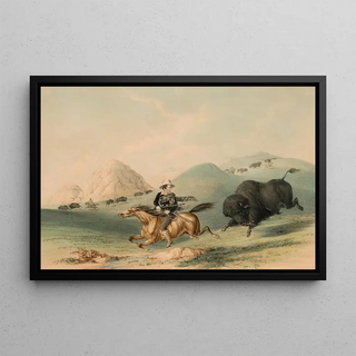 George Catlin - Buffalo Hunt Chasing Back.webp