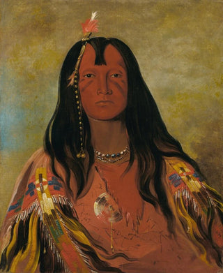 George Catlin - HcoAHcoAHcotesMin No Horns On His Head a Brave.webp