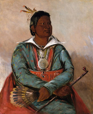 George Catlin - MShoLaTbBee He Who Puts Out And Kills Chief of The Tribe.webp