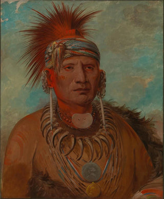 George Catlin - NeuMonYa Walking Rain War Chief.webp