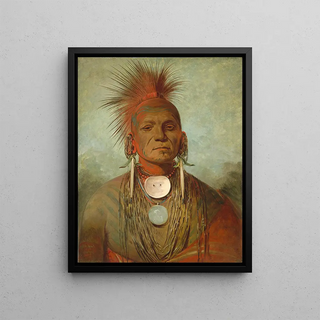 George Catlin - Seenontya an Iowa Medicine Man.webp