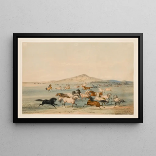 George Catlin - Wild Horses at Play.webp