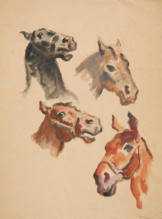 Ivan Ivanec - Studia bw koskich.webp