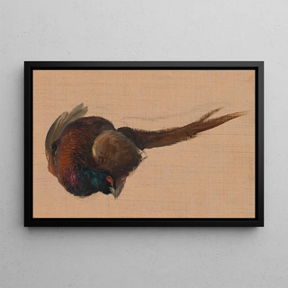 Johann Matthias Ranftl - Studie eines toten Fasanes.webp