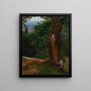 Johann Wilhelm Schirmer - Baumstudie mit Talblick.webp