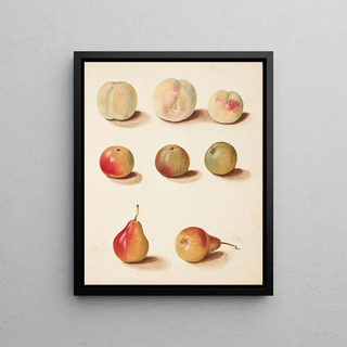 Johanna Fosie - Studie af fersken ble og pre.webp