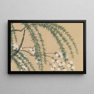 Kamisaka Sekka - Willow and Cherry Yanagizakura.webp