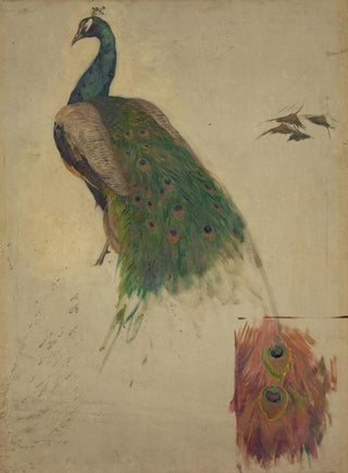 Kenyon Cox - The sciences study for peacock in tympanum.webp