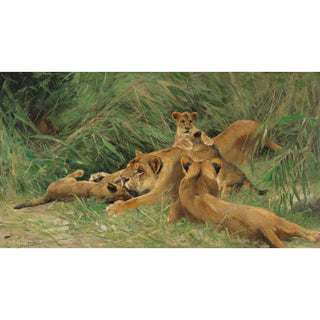 Lions jouant - Wilhelm Kuhnert | Reproduction Tableau Décoration murale affiche copie