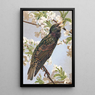 LoPaul Robert - tourneau.webp