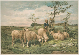 Louis Prang Co - Study of sheep after F Brissot.webp