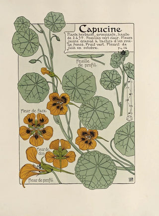 Maurice Pillard Verneuil - Capucine.webp