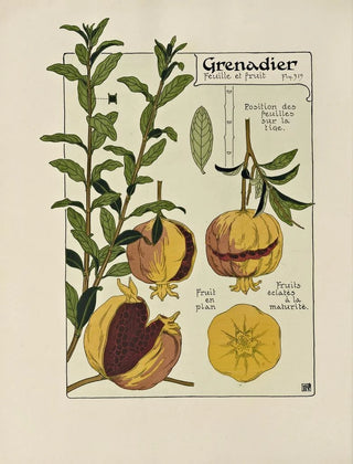 Maurice Pillard Verneuil - Grenadier.webp