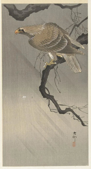 Ohara Koson - Eagle on branch.webp