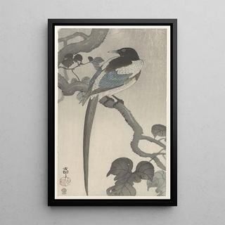 Ohara Koson - Magpie on tree branch.webp