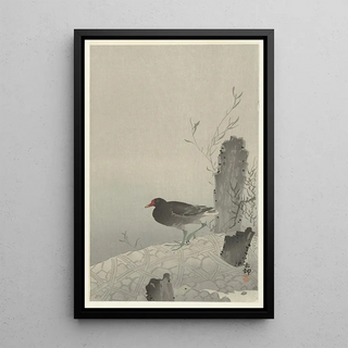 Ohara Koson - Moorhen.webp