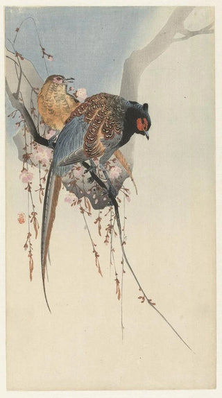 Ohara Koson - Pheasant couple and plum blossom.webp