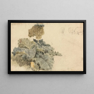Peter DeWint - Study of Burdocks.webp