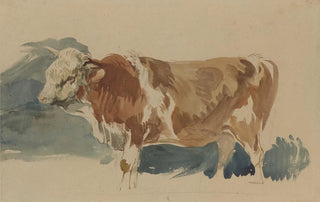 Piotr Michaowski - Study of a spotted ox.webp