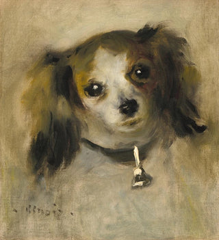 Tête de chien - Pierre-Auguste Renoir