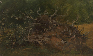 Vilhelm Petersen - Study of a Tree Stump.webp