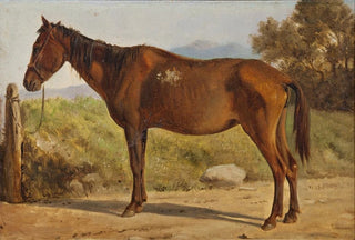 Wilhelm Marstrand - Rosinante Study of an old standing horse.webp
