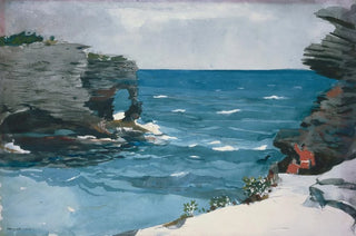 Winslow Homer - Rocky Shore Bermuda.webp
