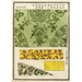 Reproduktion af maleriet Estampes chinoises pl26 - A F Stoddard Company