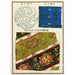 Reproduktion af maleriet Estampes chinoises pl6 - A F Stoddard Company