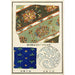 Estampes chinoises pl83 - A F Stoddard Company — visning af kunstværket