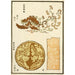 Reproduktion af maleriet Estampes chinoises pl90 - A F Stoddard Company