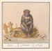 Aap Primates Aep Simius Singe - Anselmus Botius de Boodt — visning af kunstværket