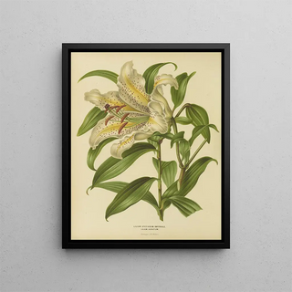 Abraham Jacobus Wendel - Nederlandsche flora en pomona Pl30.webp