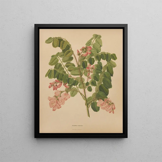 Abraham Jacobus Wendel - Nederlandsche flora en pomona Pl49.webp