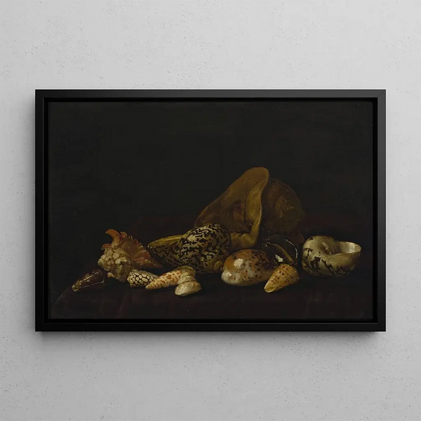 Abraham Van Calraet - Seashells in a purple tapestry.webp