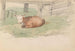 en liggende kalv - Adolph Tidemand — visning af kunstværket