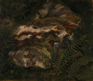 Adolph Tidemand - Study of an Mosscovered Stone and Ferns.webp