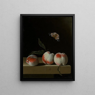 Adriaen Coorte - Drei Pfirsiche auf einem Steinsims mit einem Distelfalter.webp
