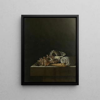 Adriaen Coorte - Shells on a Stone Plinth.webp