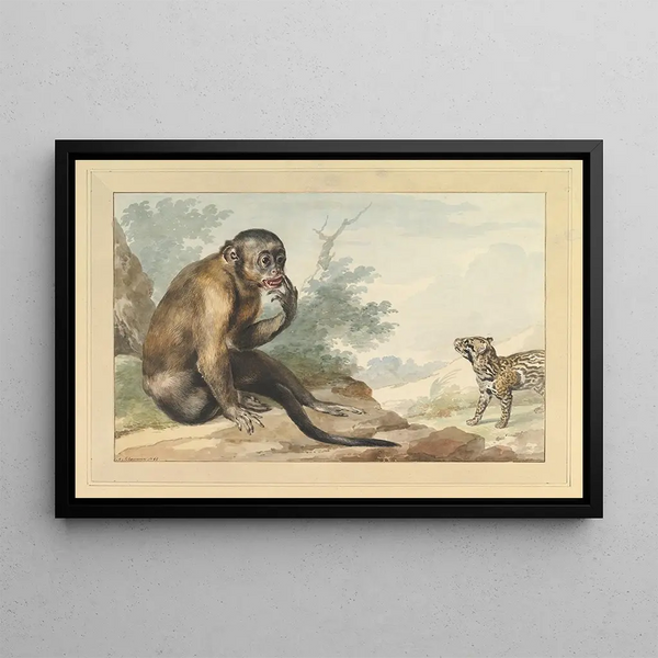 Aert Schouman - A Monkey Sitting on a Rock Looking at a Civet.webp
