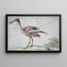 Une spatula rosée Platalea ajaja - Aert Schouman — indrammet kunstværk på væggen