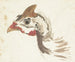 Tête de pintade casquée - Aert Schouman — visning af kunstværket