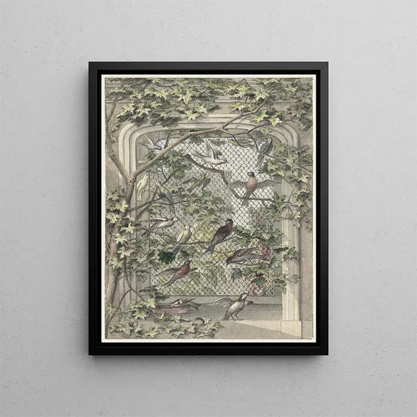 Aert Schouman - Volire met veertien vogels.webp