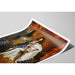 Plakat Louis XIV