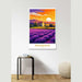 Plakat Provence Vintage ved solnedgang