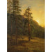 Californien Sequoia-maleri - Albert Bierstadt — visning af kunstværket