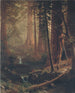 Californien kæmpe-sekvojaer - Albert Bierstadt — visning af kunstværket